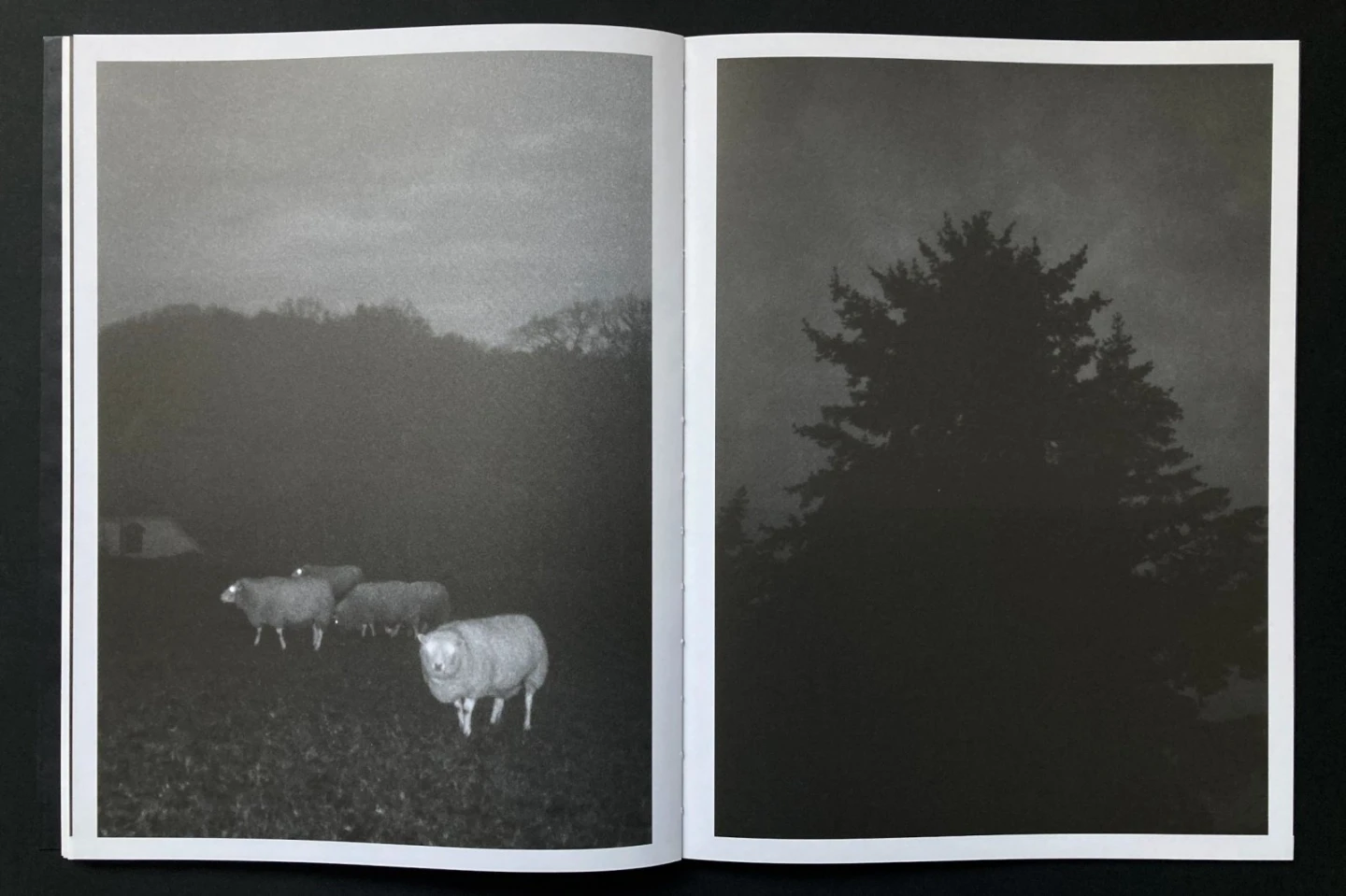 Detail uit fotoboek "At Dusk" april 2022, editie van 500